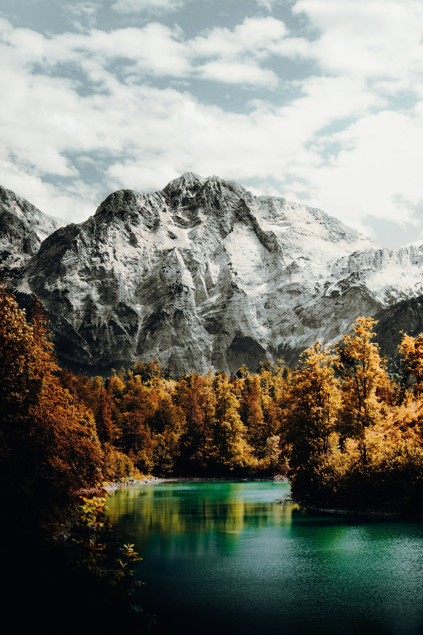 Why Eco Friendly Concepts Are Leading Crypto Trends